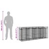 vidaXL Gabionen Hochbeet 2 pcs Silber 200 x 50 x 80 cm