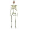 vidaXL Halloween Skelett Wei&szlig; 155 x 38,5 cm Polypropylen