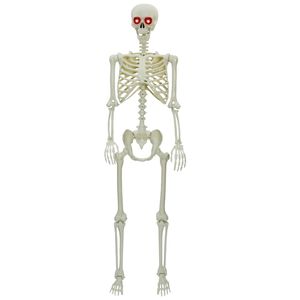 vidaXL Halloween Skelett Wei&szlig; 155 x 38,5 cm Polypropylen