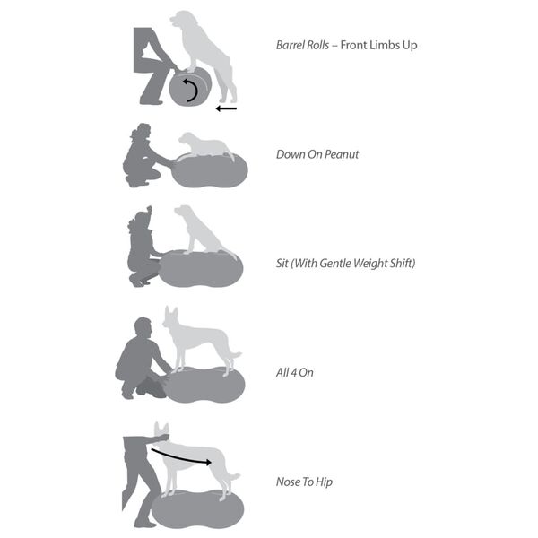 FitPAWS Balance-Kissen f&uuml;r Hunde Trax Peanut 40 cm Gelb