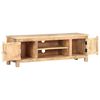 vidaXL TV-Schrank 120x30x40 cm Raues Mangoholz