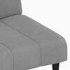 vidaXL Schlafsofa 2-Sitzer Hellgrau Samt