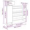 vidaXL Schuhschrank mit T&uuml;r Altholz 100,5 x 28 x 100 cm Holzwerkstoff