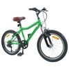 vidaXL Kinderfahrrad 20 Zoll 6-Speed f&uuml;r 6-11 Jahre alt Gr&uuml;n