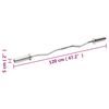 vidaXL Olympische Curlstange 120 cm Stahl