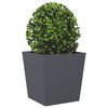 Produkt-Miniaturbild 8 von 10
