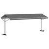 vidaXL Freistehende Markise 6 x 3 m Polyester Grau