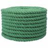 vidaXL Baumwollseil 20 mm 100 m Gr&uuml;n 100% Baumwolle