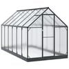 vidaXL Garten Gew&auml;chshaus 185 x 363,5 x 207 cm