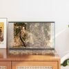 vidaXL Reptilien- und Amphibienhabitate Weiß 40 x 30 x 30 cm Glas