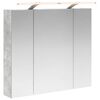 vidaXL Badezimmerspiegelschrank Betongrau 80 x 14,5 x 70 cm