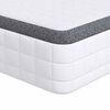 vidaXL Matratze 2 stk. Mittelweich 70 x 190 cm Wei&szlig; und Grau