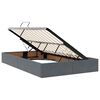 vidaXL Bett mit Stauraum und LED Dunkelgrau 120 x 200 cm Samt