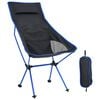 vidaXL Klappbarer Campingstuhl PVC und Aluminium Schwarz