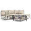 vidaXL 4-tlg. Garten-Lounge-Set mit Kissen Anthrazit Poly Rattan