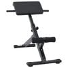 vidaXL Hyperextensionsbank Schwarz 100,5 x 70 x 78 cm