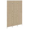 vidaXL Raumteiler Beige 146 x 200 cm Poly-Rattan