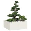 vidaXL Pflanzgef&auml;&szlig; Wei&szlig; 100x100x40 cm Stahl