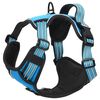 vidaXL Hundegeschirr mit Leine & Halsband Verstellbar Blau M