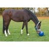 Kerbl Pferde-Spielball Blau 25 cm 32399