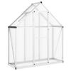 vidaXL Gew&auml;chshaus mit Fundamentrahmen Silbern 169x58x195cm Aluminimum