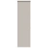 Light_grey