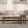 vidaXL 2-tlg. Couchtisch-Set Honigbraun Massivholz Kiefer