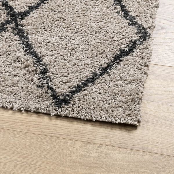 vidaXL Teppich Shaggy Hochflor Modern Beige und Anthrazit 80x250 cm