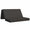 vidaXL Klappsofa Bett 120 x 67 x 45 cm Dunkelgrau