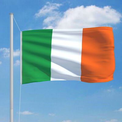 vidaXL Flagge Irlands und Mast Aluminium 6,2 m
