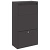 vidaXL Paketdrop-Box mit Speicher Schwarz 44 x 22 x 82 cm Stahl