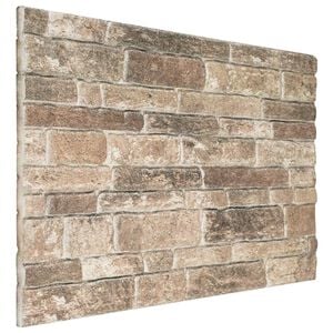 vidaXL Wandpaneele 10 stk. 100 x 50 cm Mehrfarbig EPS-Schaum