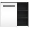 vidaXL Spiegelschrank mit LED-Beleuchtung Schwarz 60x13x52 cm