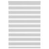 vidaXL Doppelrollo Hellgrau 110x150 cm Stoffbreite 105,9 cm Polyester