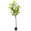 vidaXL Ficusbaum K&uuml;nstlich 48 Bl&auml;tter 165 cm Gr&uuml;n