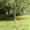 Produkt-Miniaturbild 2 von 7