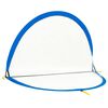 vidaXL Kinder Fu&szlig;balltore 2 Stk. Aufbewahrungstasche 183x117,5x120,5cm