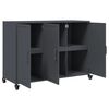 vidaXL Sideboard Anthrazit 100,5x39x72 cm Stahl