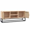 vidaXL TV-Schrank 105x30x45 cm Holzwerkstoff und Eisen