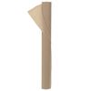 vidaXL Frostschutz-Pflanzen-Vlies 50 gsm 10 x 1,6 m Vliesstoff Beige
