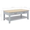 vidaXL Couchtisch Grau 100x55x40 cm Holz