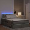 vidaXL Bett mit Stauraum und LED mit LED Hellgrau 120 x 190 cm Stoff