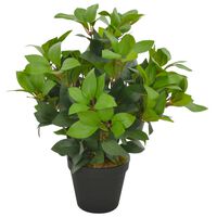 vidaXL Künstliche Pflanze Lorbeerbaum mit Topf Grün 40 cm