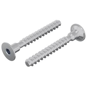 vidaXL Schraube 2 pcs Zink-beschichtet 5 x 40 mm Eisen