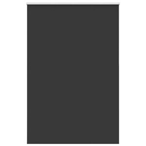 vidaXL Verdunkelungsrollo Schwarz 165x210 cm Stoffbreite 161,6 cm