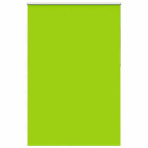 vidaXL Verdunkelungsrollo Gr&uuml;n 155x230cm Stoffbreite 151,6cm Polyester