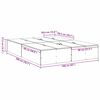 vidaXL Aufbewahrungsbettgestell Beton Grau 160 x 200 cm Holzwerkstoff
