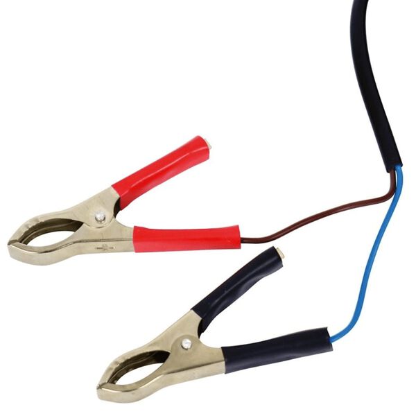 Carpoint Mini Elektrische Transferpumpe 12 V Schwarz