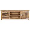 vidaXL TV-Schrank 120x30x40 cm Massivholz Mango
