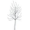 vidaXL LED-Wandweihnachtsbaum 150 cm 140 LEDs Kaltwei&szlig; Stahl Schwarz